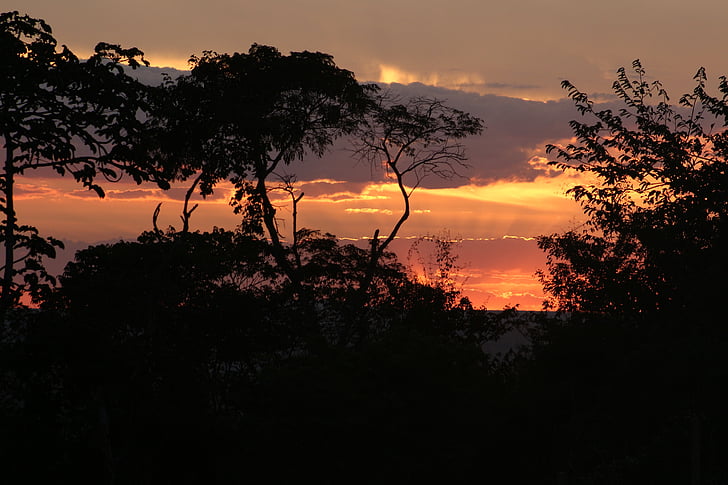 Príroda, Ceará, Brazília, podľa, západ slnka, Sol, tiangua