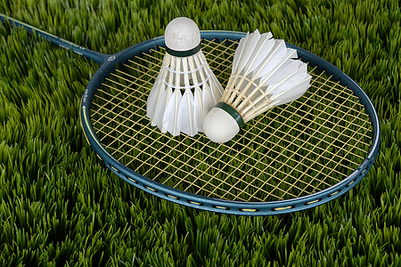 badminton, shuttle, sport, bat, racket, leisure, recreational sports