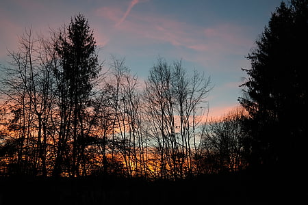 západ slnka, dosvit, večernej oblohe, oblaky, Sky, stromy, reflexie