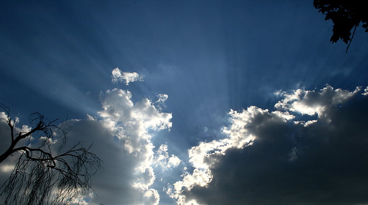 clouds, cloud, rays of light, dark clouds, dark blue sky, silhouette of branches