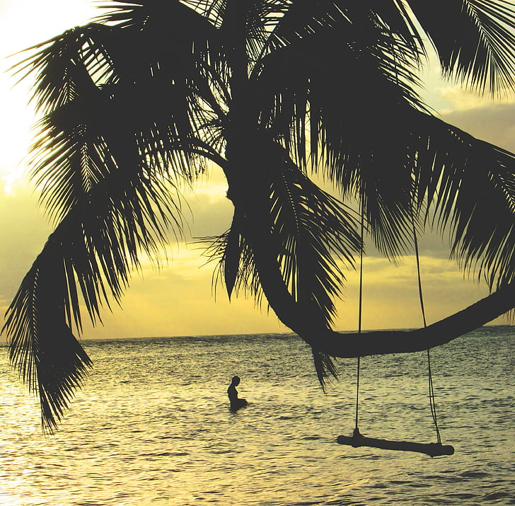 siluets, kokosrieksts, koks, šūpoles, netālu no, jūra, pludmale