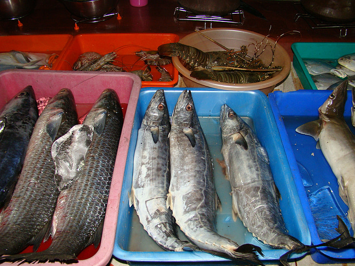 ryby, chytiť, čerstvé, trhu