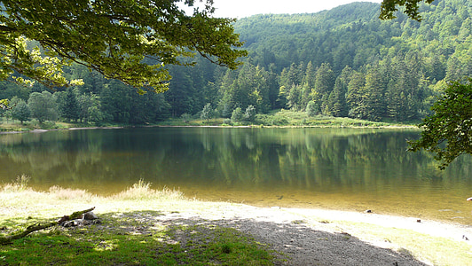 sjön, Vosges, bergen