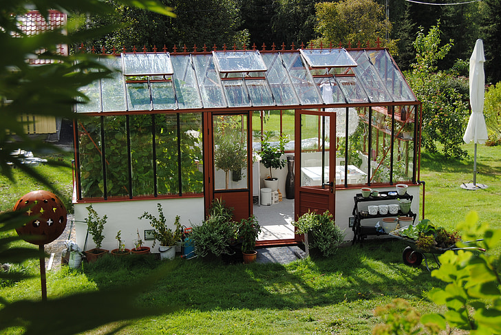greenhouse, summer, grow, green, flowers, garden, cultivation
