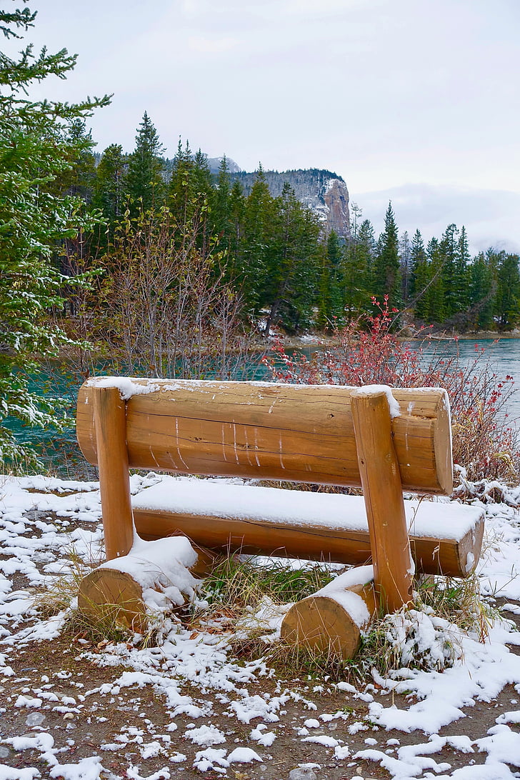 seat, snow, wooden, outdoors, winter, bench, park