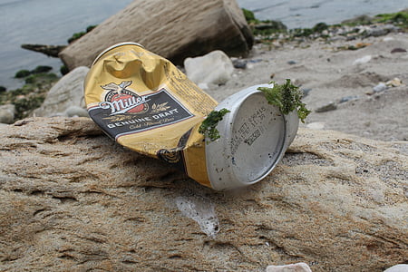 ビール缶, 海洋, 廃棄物, モス