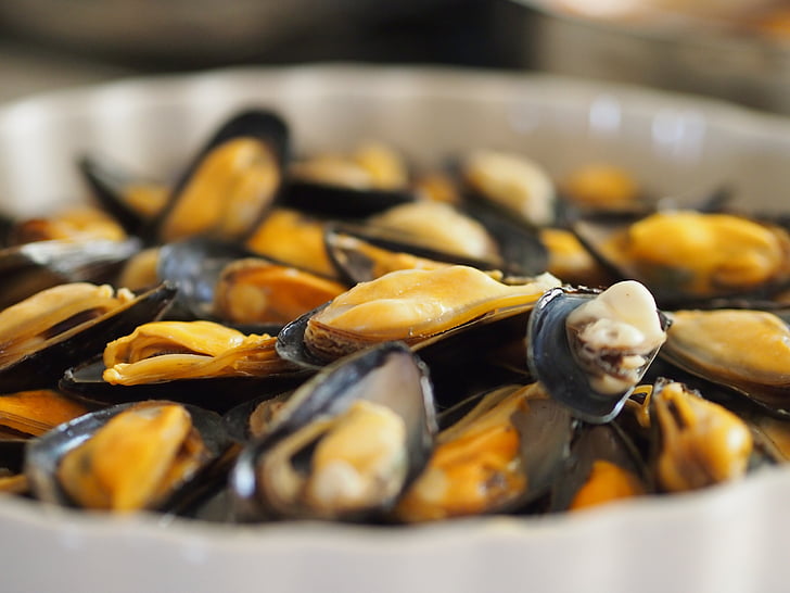 seafood, molluscs, clams, cook, food, mussel, gourmet