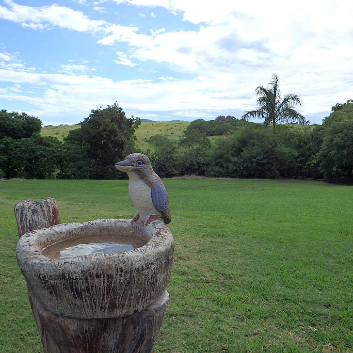 kookaburra, ornamental, bird bath, rural, country, bath, bird