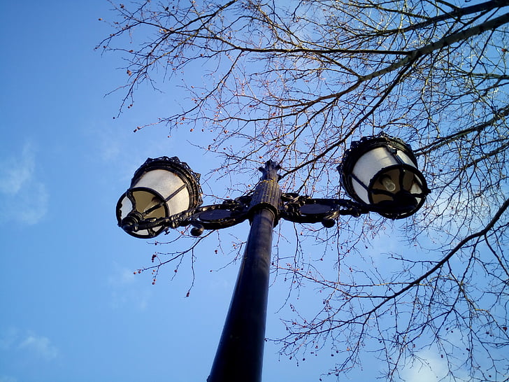 улично осветление, осветление, небе, клонове, парк, лампа, светлина