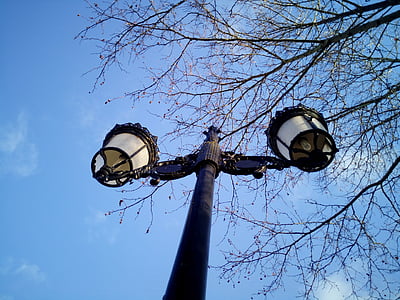 lampadaires, éclairage, Sky, branches, Parc, lampe, lumière