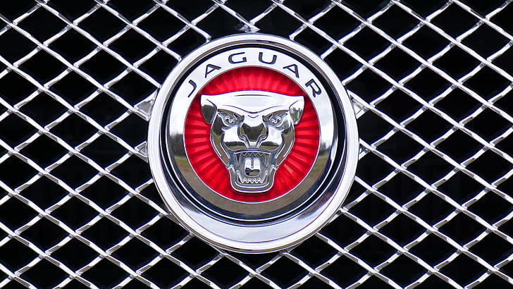 Jaguar, logo, státní znak, auto, návrh, ikona, stříbrná