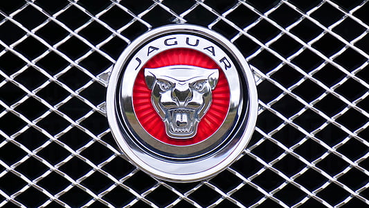 Jaguar, logo, státní znak, auto, návrh, ikona, stříbrná
