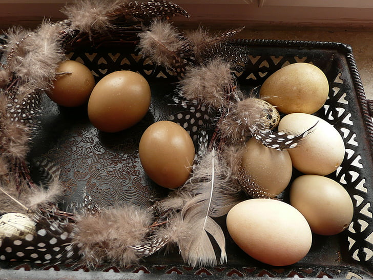Uskrs, uskrsna jaja, dekoracija, jaje, uskršnje gnijezdo