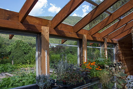 rumah kaca, bunga, Hortikultura, Hobi, Toko bunga, Glasshouse, lingkungan