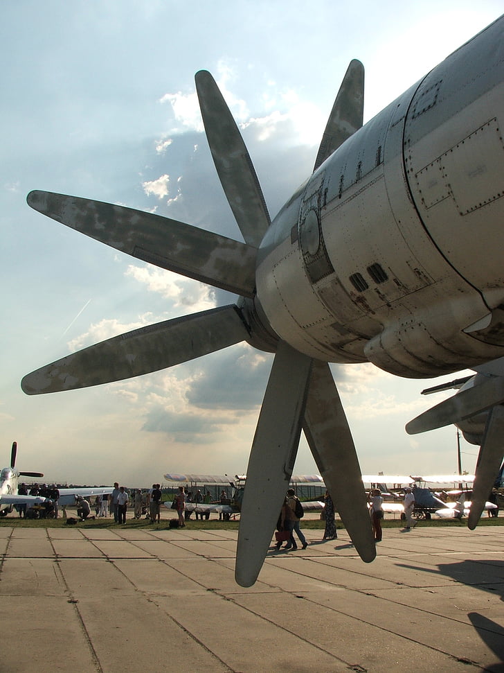 propeler, plokštumoje, varžtas, aviacijos, Kijevas, muziejus, lėktuvas