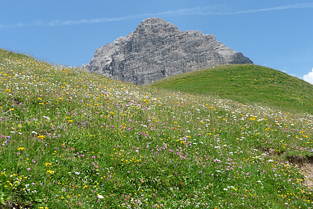 allgäu, alpine, summit, allgäu alps, mountain landscape