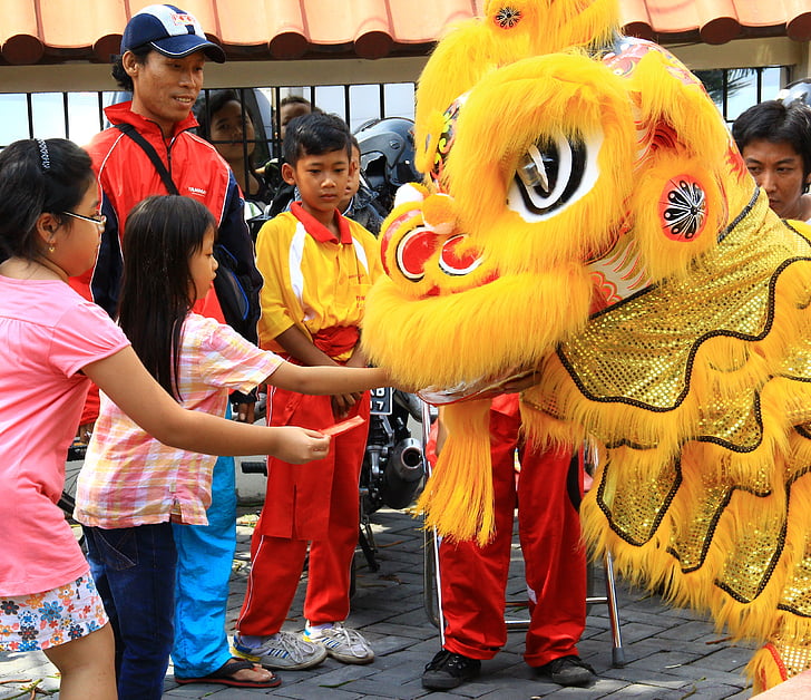 xinès, any nou, celebració, drac, tradicional, cultura, símbol