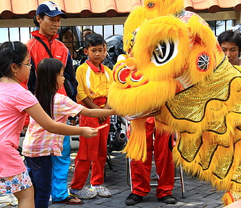 Chiński, Nowy rok, celebracja, Smok, tradycyjne, kultury, Symbol
