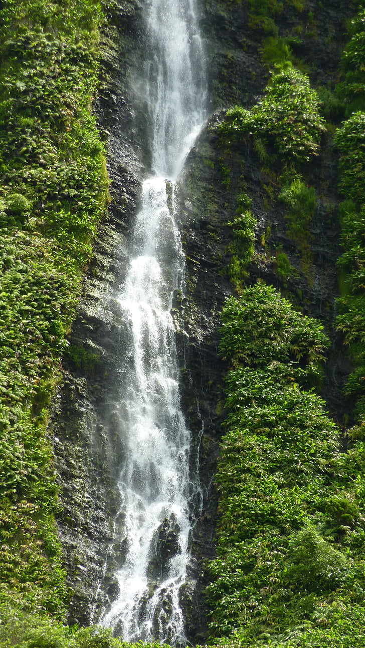 Wasserfall, Berg, Landschaft, Wald, Durchfluss, Berge, Azoren