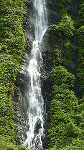 thác nước, núi, cảnh quan, rừng, dòng chảy, dãy núi, đảo Azores