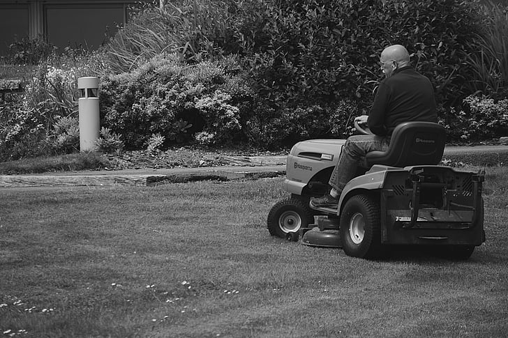 man, turf, black and white, lawn mower, mowing, work, worker