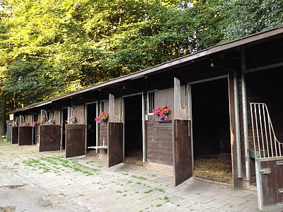 stalles, chevaux, Dom, bois - matériau, architecture