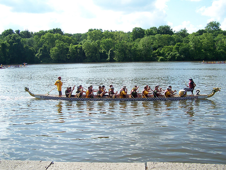 rowboat, water, water sports, rowing boat, rowing, nature, rowing team
