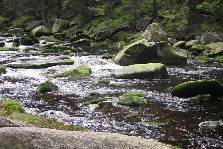 jõgi, Šumava, kivid, loodus