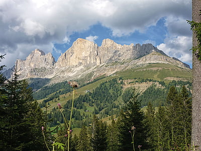 Dolomites, ağaçlar, dağ, Orman, manzara, Evergreen, doğa