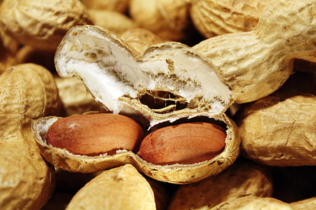peanuts, nuts, snack, nutrition, healthy, nibble, decoration
