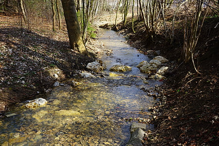 bach, creek, waters, stones, flow, water, idyllic