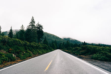 road, straight, nature, mountain, forest, tree, landscape