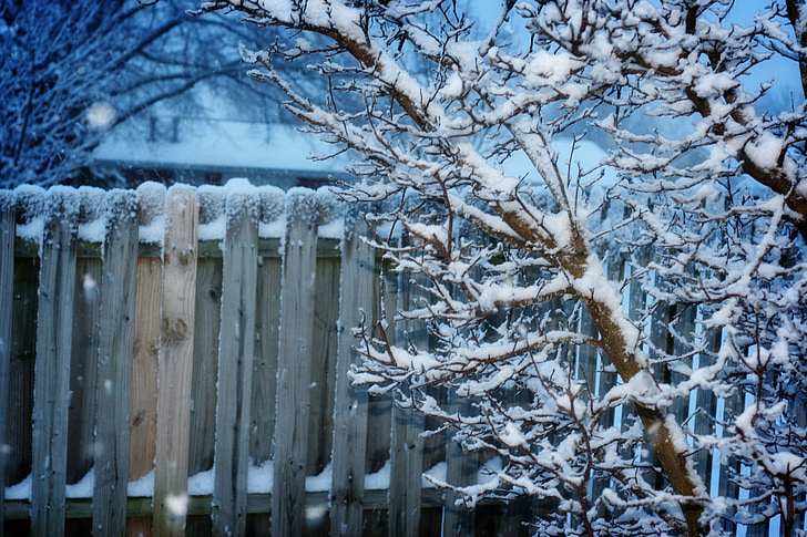 взимку, паркан, сніг, дерево, холодної, паркан саду, Сніжне