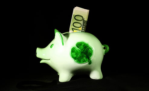 money, save, sparscwein, euro, 100, finance, piggy bank