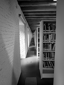 Biblioteca, libros, estantes, luz
