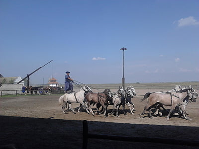Hungría, las grandes llanuras, espectáculo de caballos