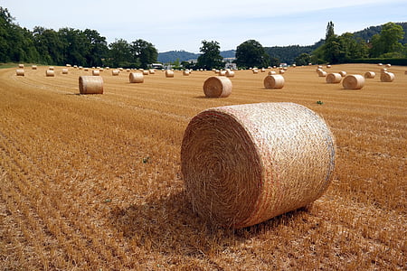 straw bales, straw, switzerland, agriculture, summer, stubble, straw box