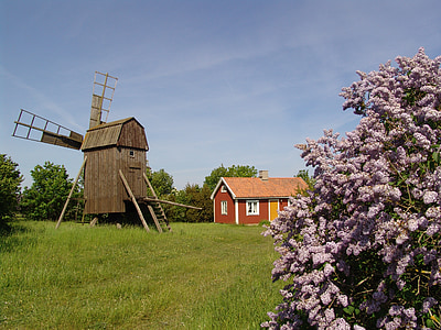 imagini de vara, vară suedeză, Öland