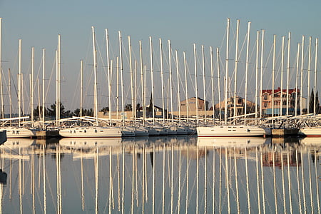 Marina, vitorlás hajók, tenger, hangulat, vitorla, turizmus, árbocok