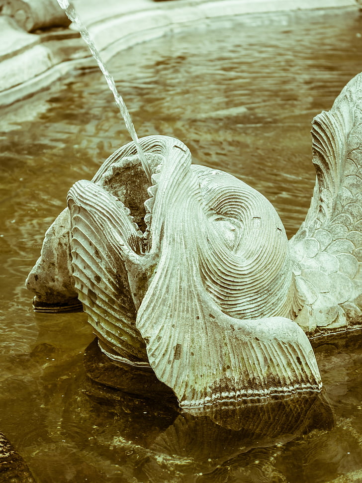 pescado, fuente, Gárgola, agua, escultura, característica del agua, Figura
