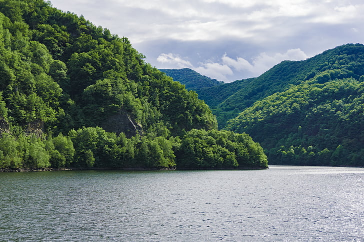 hijau, Gunung, Danau, air, lingkungan, pohon, tanaman