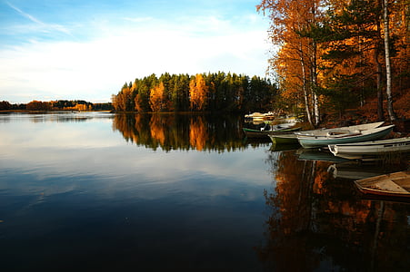jesen, brodovi, Smiri, jesen, šuma, jezero, stabla