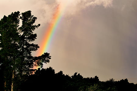 arcobaleno, natura, albero, contrasto, luce, nuvole
