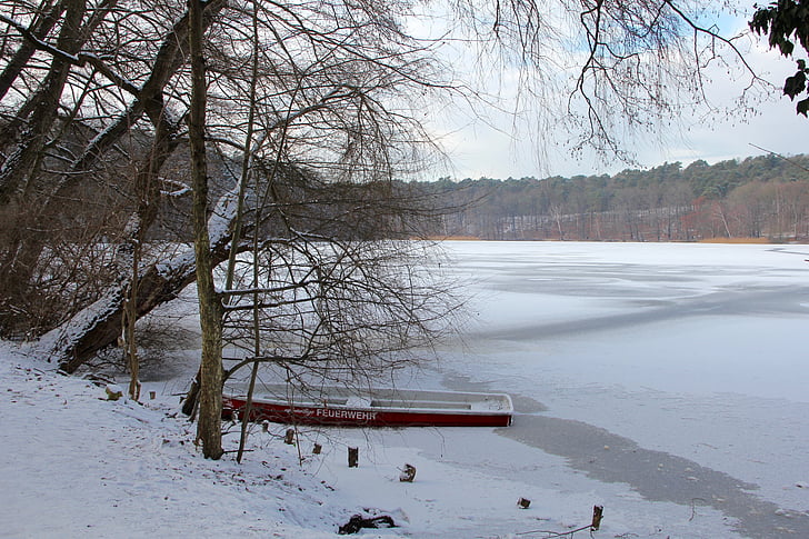 jazero, zimné, ľad, za studena, banka, vody, stromy