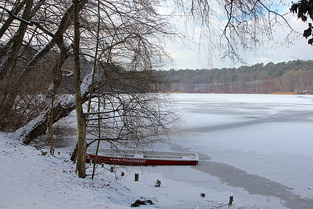 Lake, Vinter, isen, kalde, Bank, vann, trær