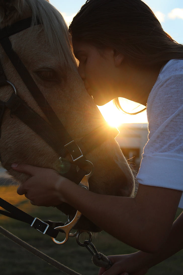 kuda, Gadis, Cinta, mencium, Cium, matahari terbenam, anak