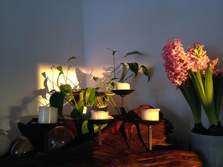 hyacinth, sten kugle, stearinlys, lyseffekt, Log, lysestage, solstrålen