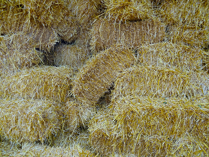 straw, straw bales, farm, compressed bales, background, golden yellow, pet food