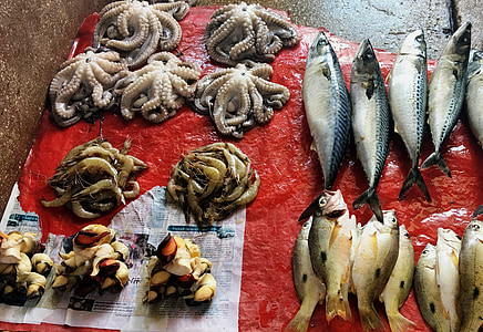 mercato del pesce, pescivendolo, frutti di mare, fresco, mercato, pesce, catch