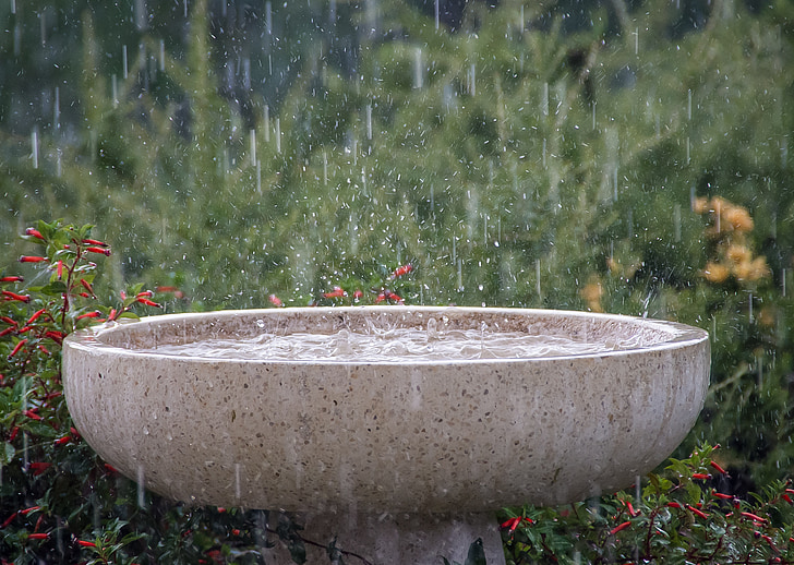 ฝน, ปริมาณน้ำฝน, เปียก, สาด, สภาพอากาศ, birdbath, ฝักบัวอาบน้ำ